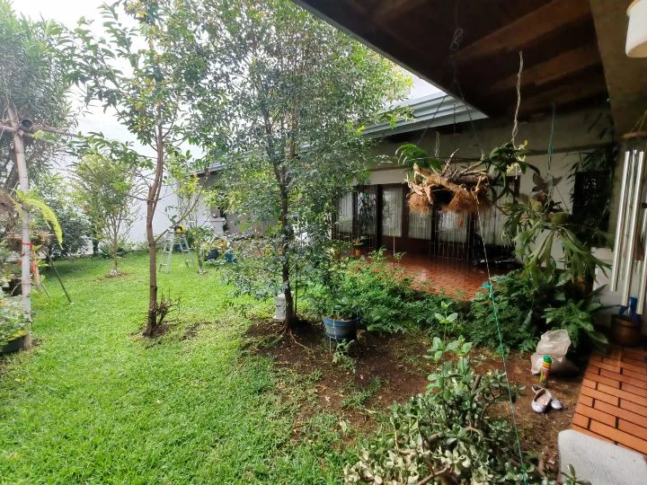 Imagen 5