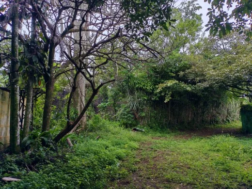 Venta de lote en zona franca Saret