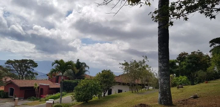Imagen 4