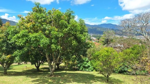 Lote en Venta ubicado en Residencial Colinas de Montealegre