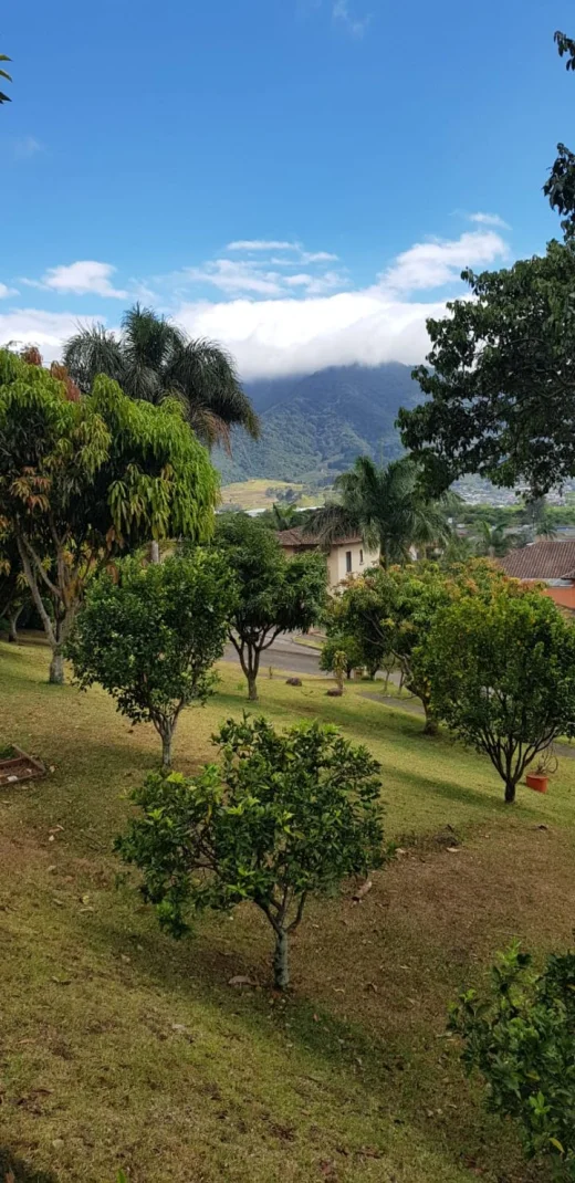 Venta de Lote en Residencial Colinas de Montealegre