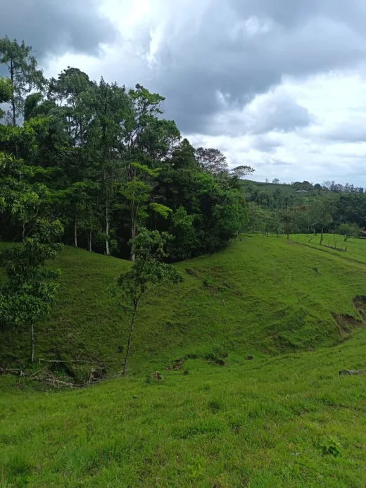 6 hectáreas para desarrollo turístico o agrícola — La Tigra, Fortuna