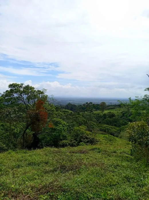 Finca agrícola y ganadera con vistas panorámicas — Venecia, San Carlos
